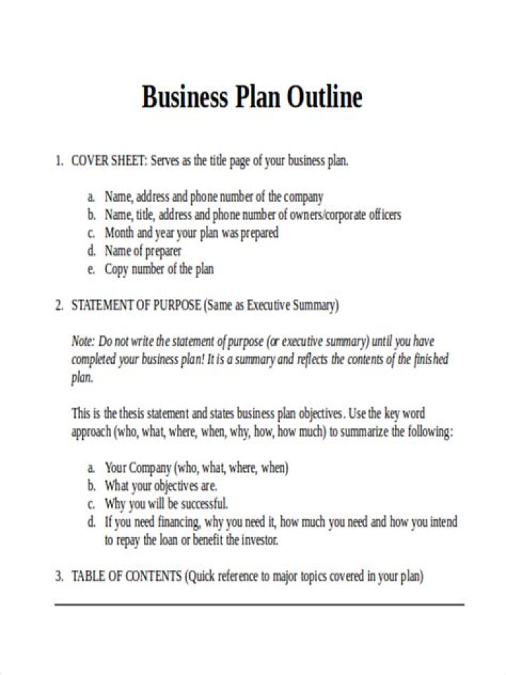 What is business plan outline?