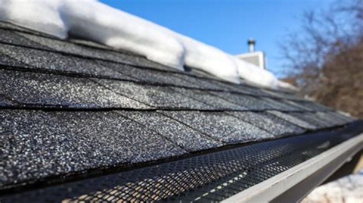 What is crawling on my roof at night?
