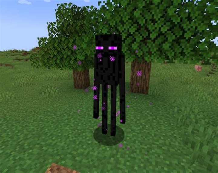 What is Enderman saying?