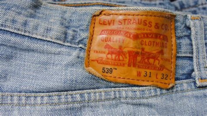 What is Levi's ideal type?