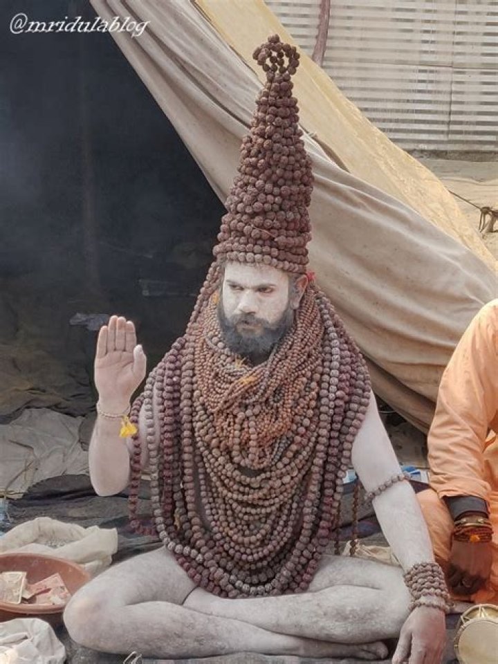 What is meant by Naga sadhu?