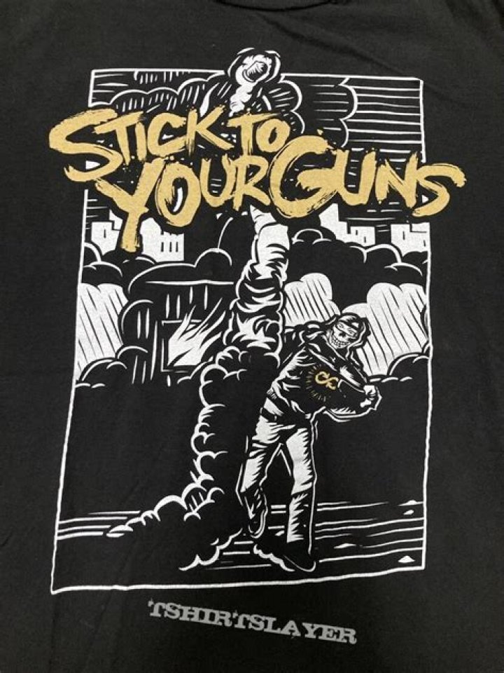 What is meant by Stick to your guns?