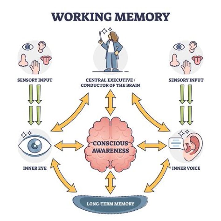 What is memory load in HCI?