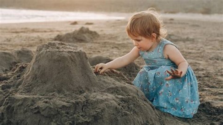 What is pica pica in English?