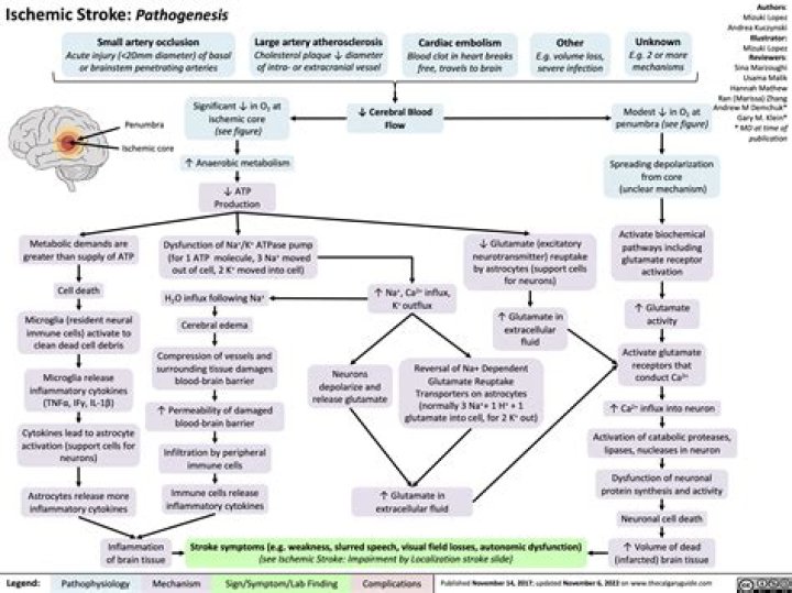 What is post stroke psychosis?