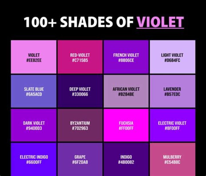What is purple in French feminine?