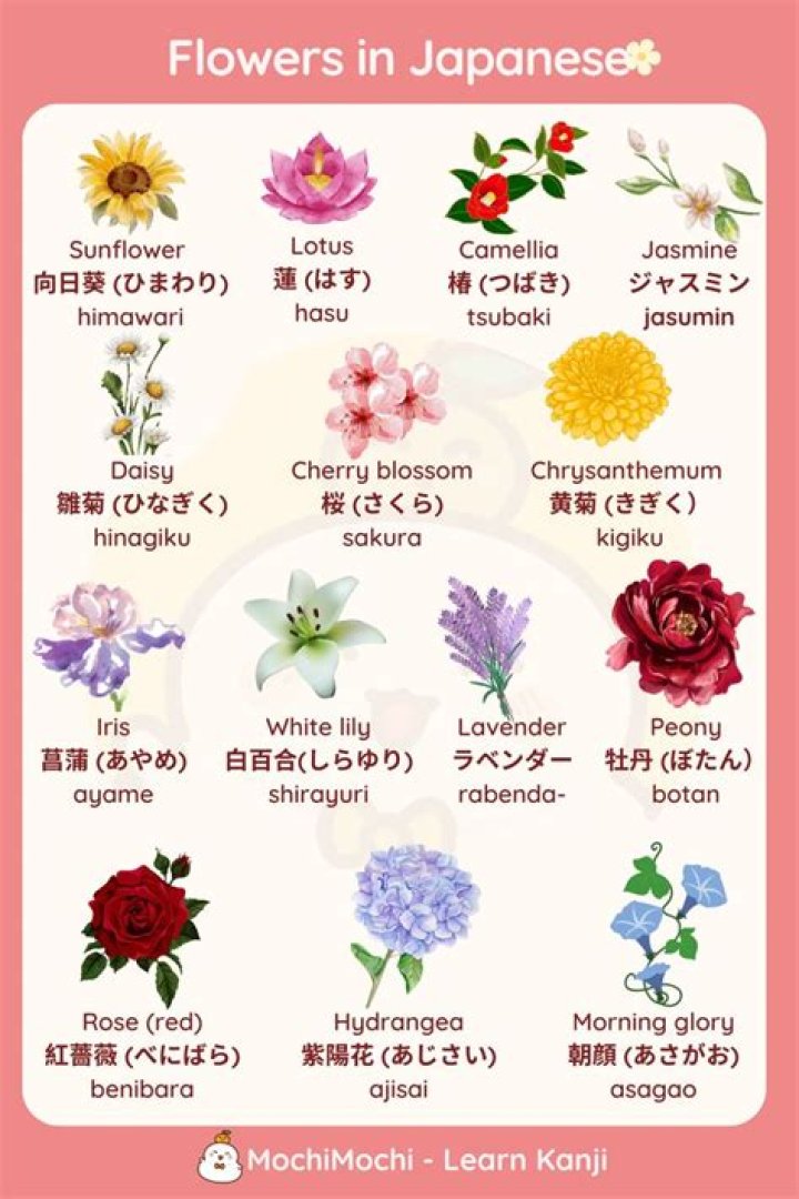 What is Ringo in Japanese?