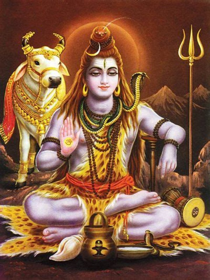 What is Shiva's snake's name?