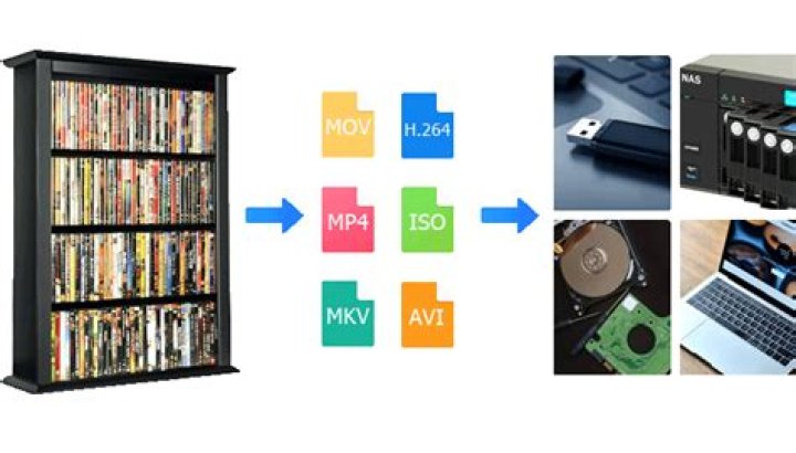 What is the best way to store my DVDs digitally?