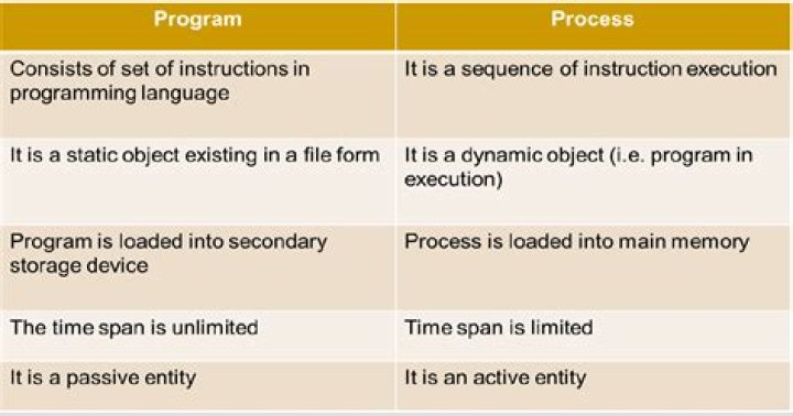 What is the difference between a program and a process?