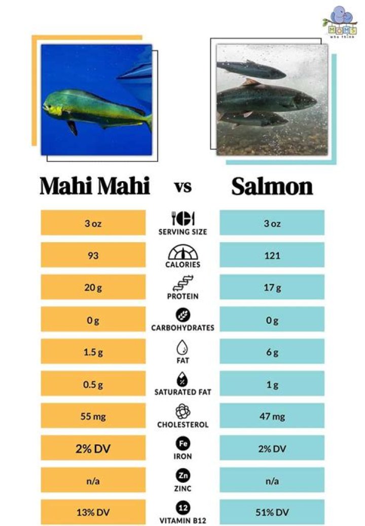 What is the difference between mahi-mahi and dorado?