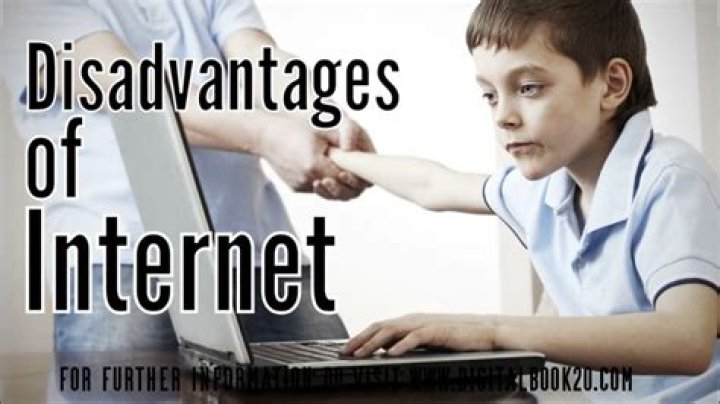 What is the disadvantages of the internet?