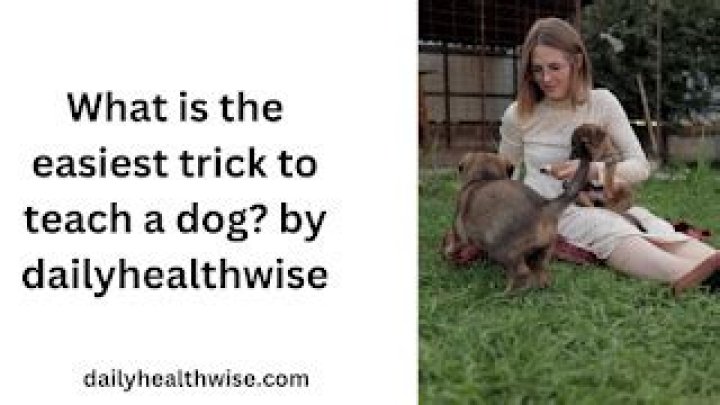 What is the easiest trick to teach a dog?