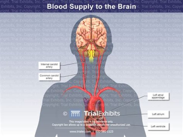 What is the fastest way to increase blood flow to the brain?