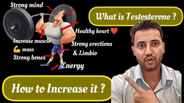 What is the fastest way to increase testosterone?