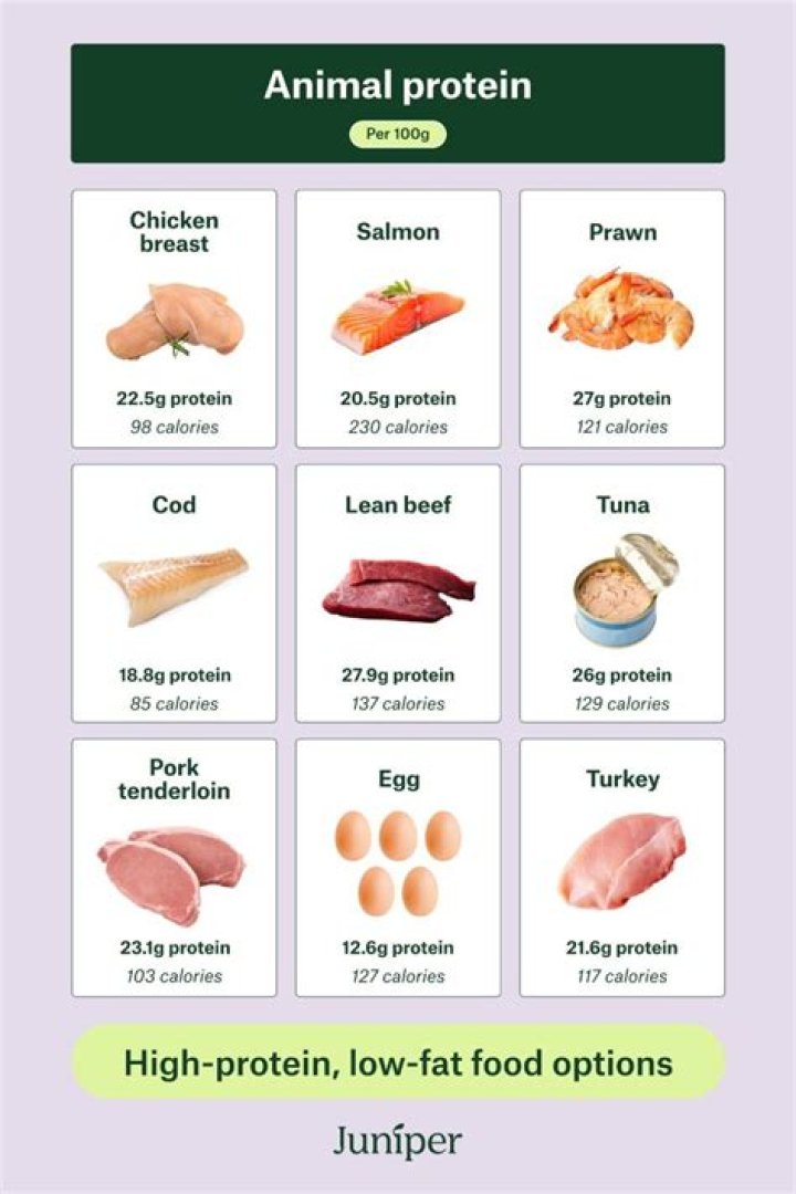 What is the healthiest animal fat?