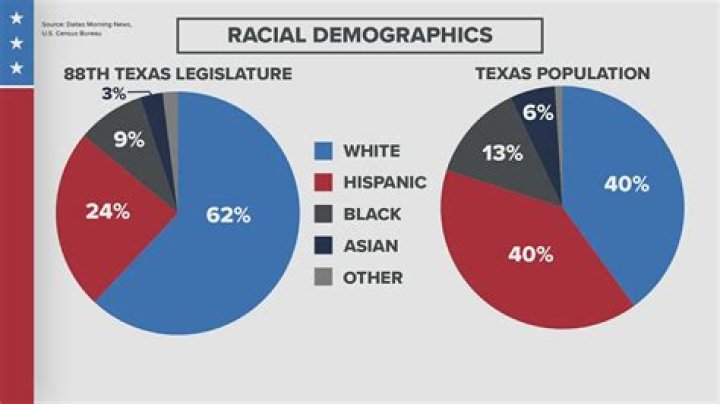 What is the majority race in Texas?
