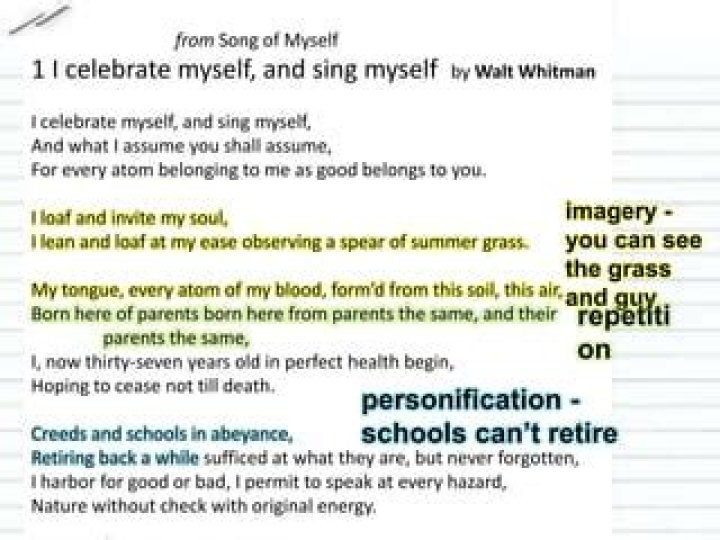 What is the meaning of I celebrate myself and sing myself?