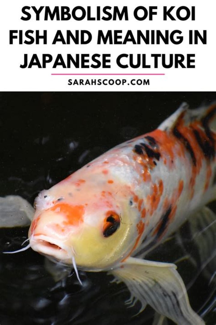 What is the meaning of Sabaki?