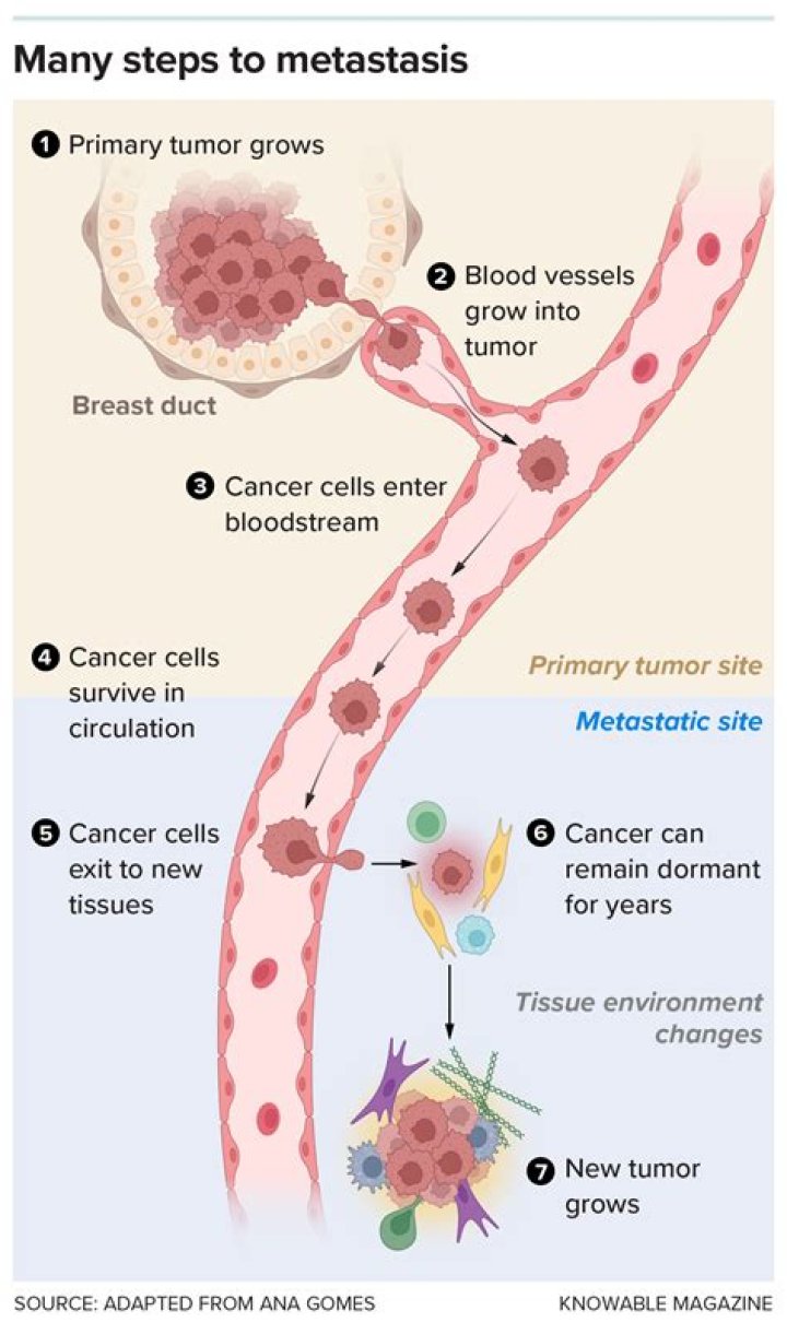 What is the most common site of metastasis?