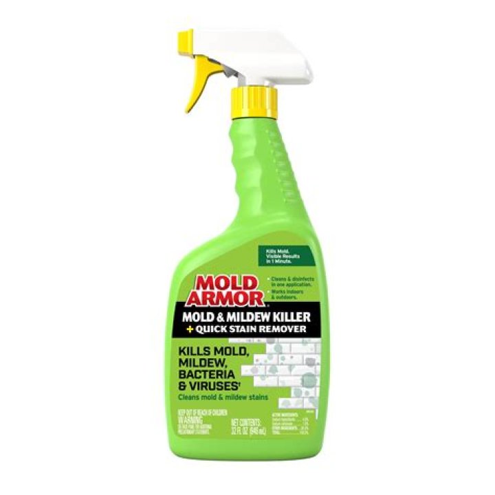 What is the most effective mold killer?