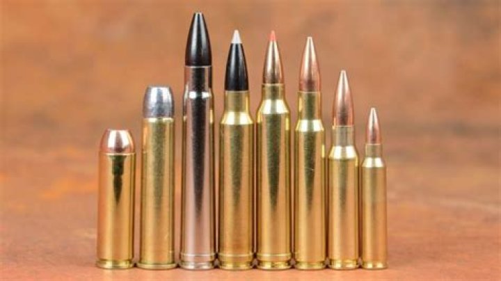 What is the most popular rifle cartridge in the world?