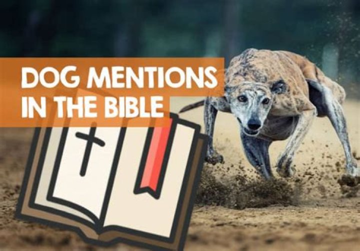 What is the name of the only dog mentioned in the Bible?