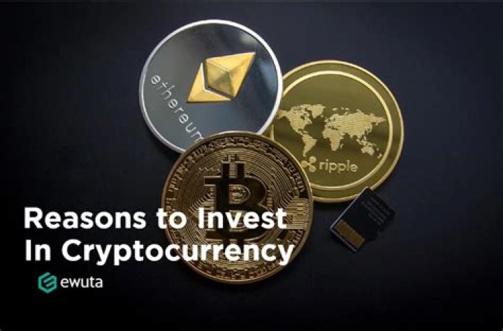 What is the only cryptocurrency that you should invest?