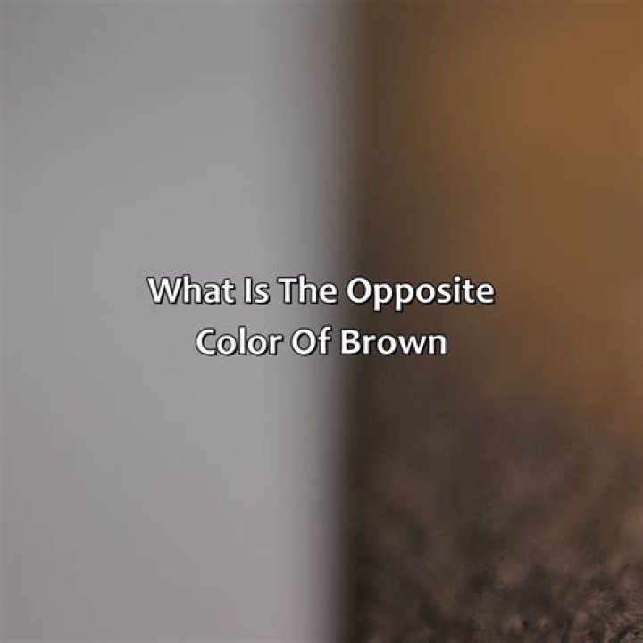What is the opposite of a silver spoon?