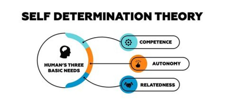What is the self-determination theory article?