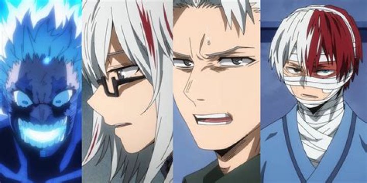What is Todoroki's hero name?