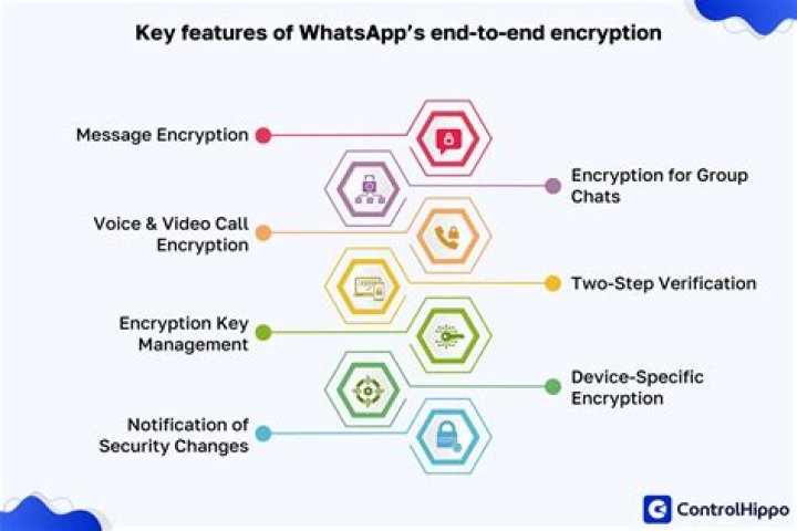 What is WhatsApp encryption password?