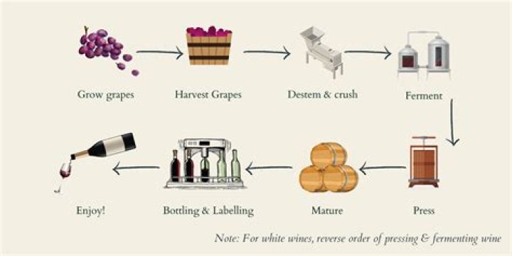 What is wine made of?