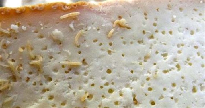 What kind of cheese has worms in it?