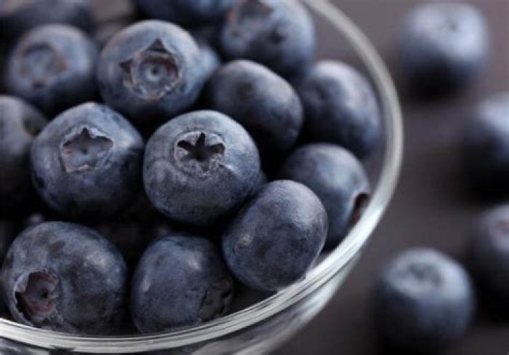 What kind of mold is on blueberries?
