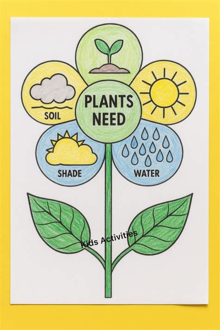 What kind of plants need shade?