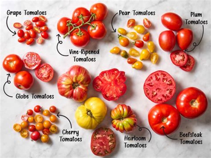 What kind of tomato is a stupice?