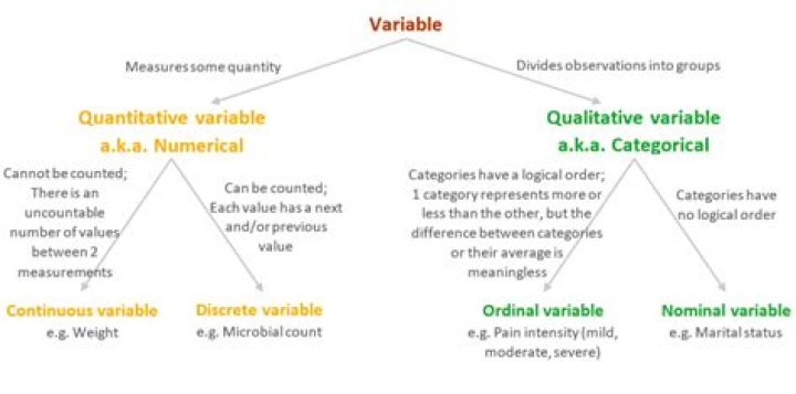 What kind of variable is age?