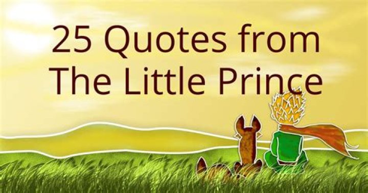 What lesson can you get from The Little Prince?