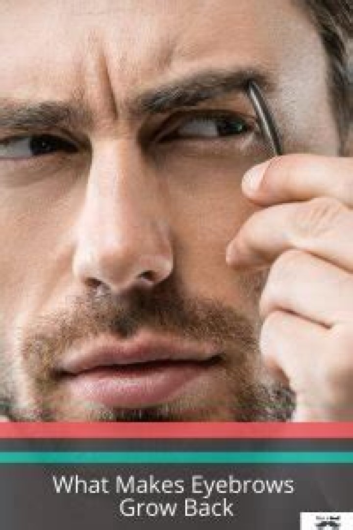 What makes eyebrows grow back?