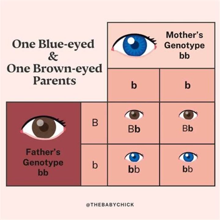 What must be true for two brown eyed parents to produce a blue-eyed child?