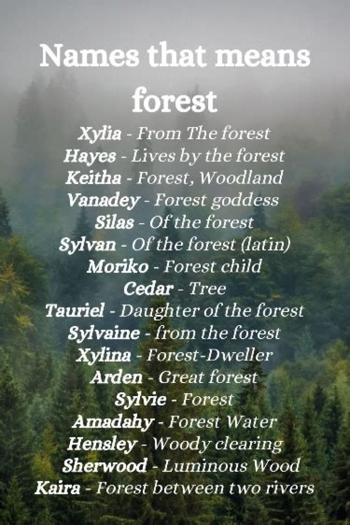 What name means forest?