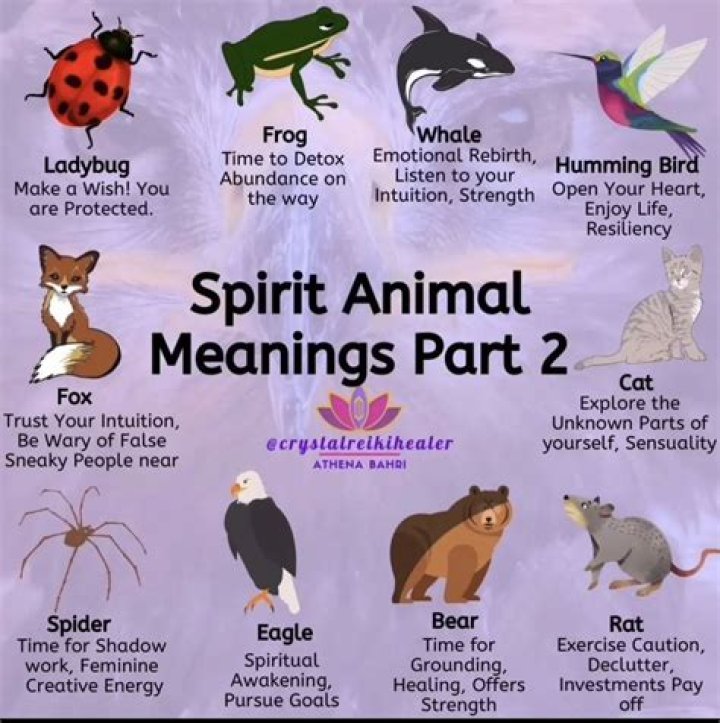 What name means free spirit?