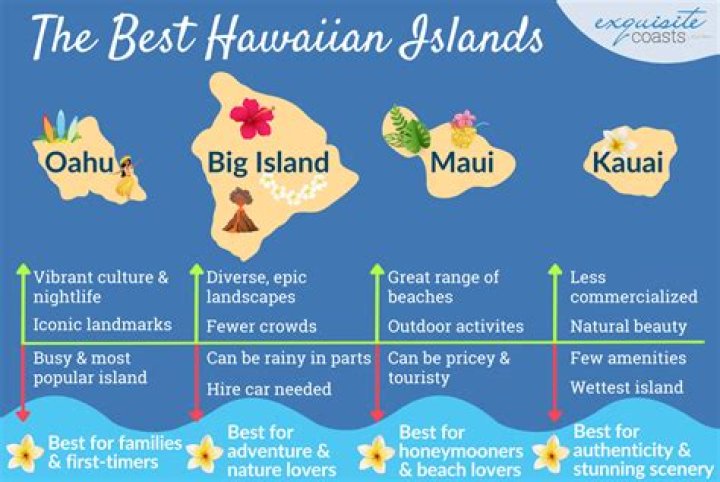 What nationality visits Hawaii the most?