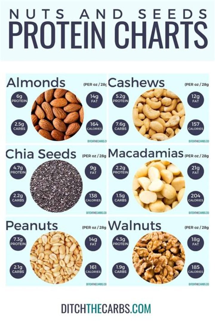 What nuts have the highest protein content?