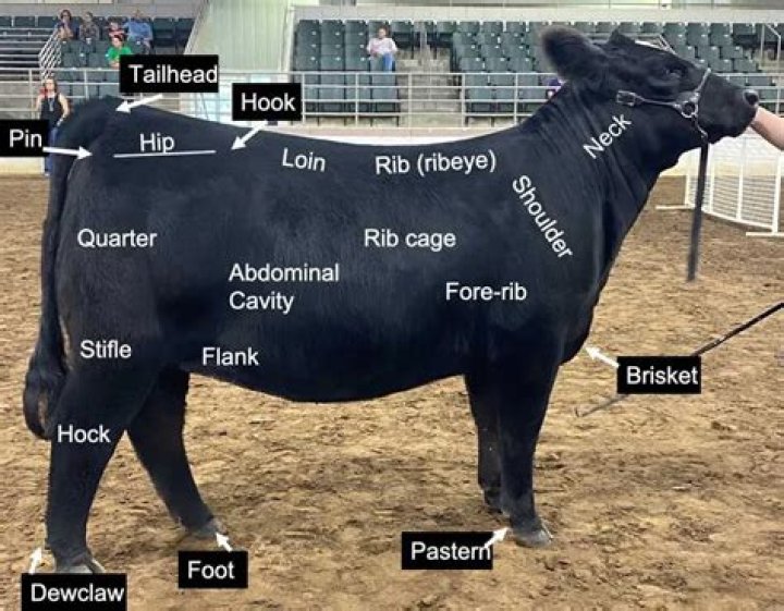 What part of the cow is Mollejas?