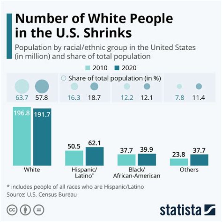 What percent of us is white?