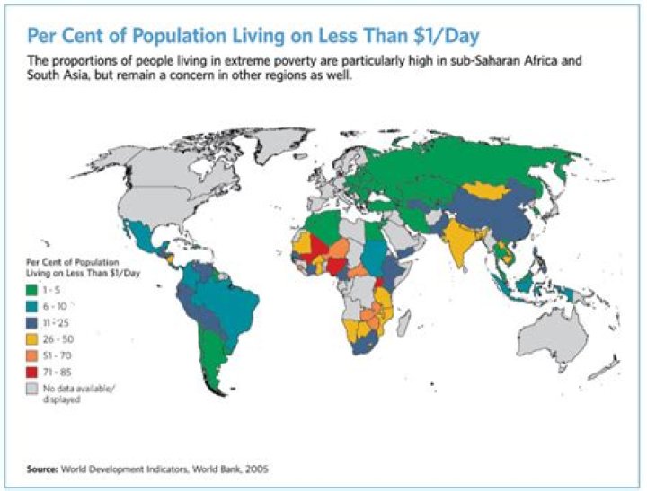 What percentage of the world lives on less than $2 a day?