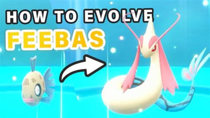 What Poffins to evolve Feebas?