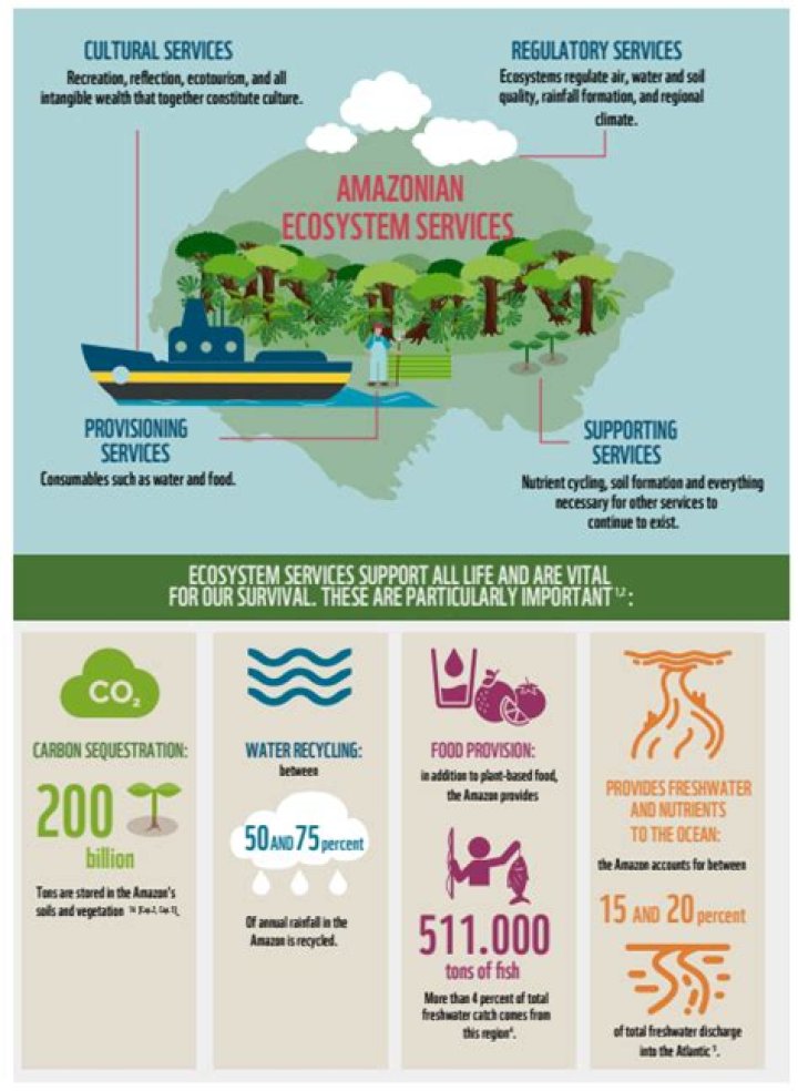 What resources does the US use from other countries?